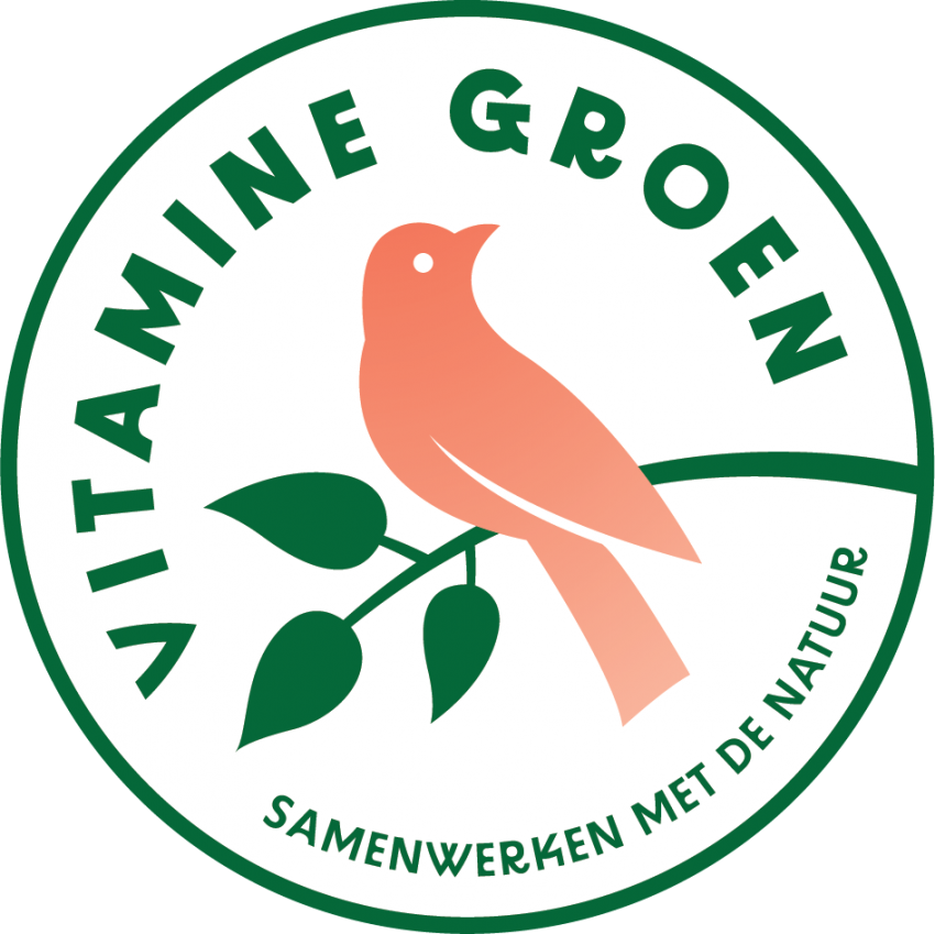 Logo vitaminegroen light3x